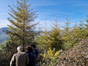 El sector necesita más conocimiento sobre especies complementarias