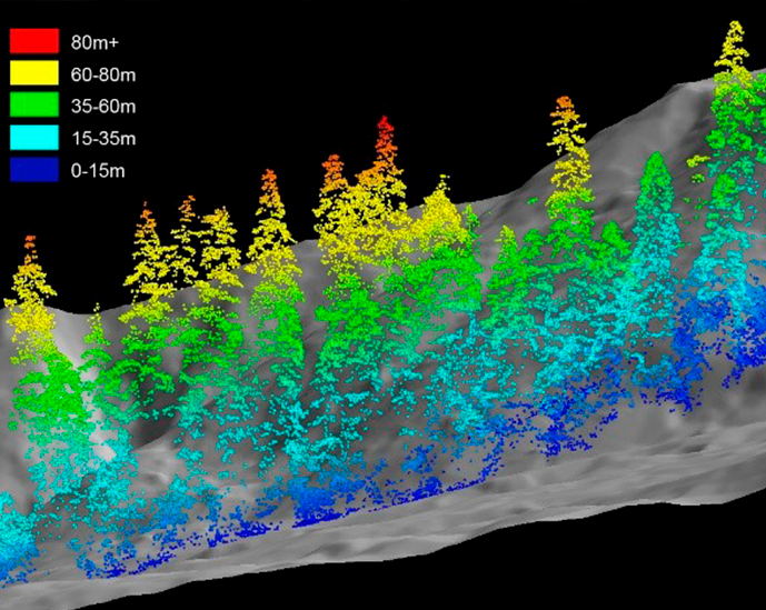 estimar la calidad de estación de las masas de Pseudotsuga menziesii (Abeto Douglas) a través del uso de datos LiDAR