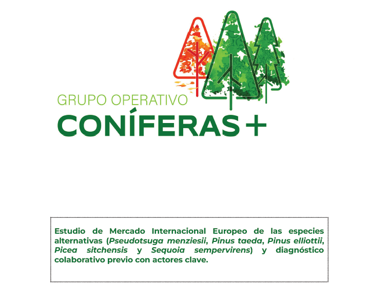 Estudio de mercado europeo sobre coníferas alternativas
