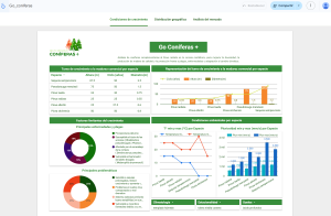 Informe en Looker Studio sobre coníferas alternativas_estudio europeo