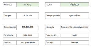 atos generales de la calicata realizada en Aspurz