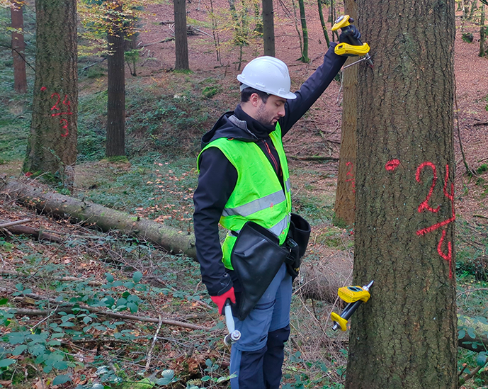 Mediciones de la calidad estructural de la madera