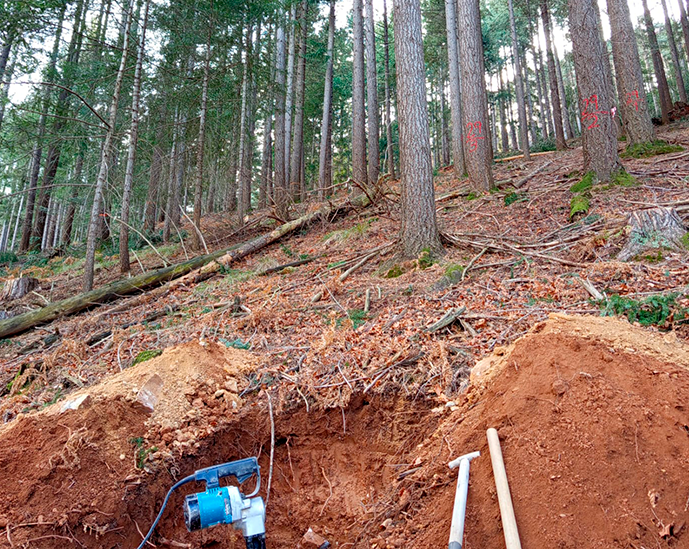 Herramientas empleadas para realizar la calicata y vista general de la parcela de Douglas