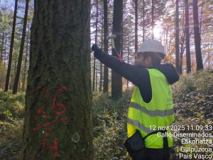 Mediciones en Guipúzcoa