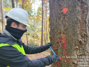 Mediciones en Gallués (Navarra)