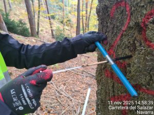 Mediciones en Salazar (Navarra)