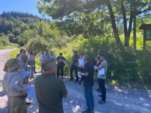 La Junta de Decanos del COIM visita una parcela del GO Coníferas+ en los montes de Barazar